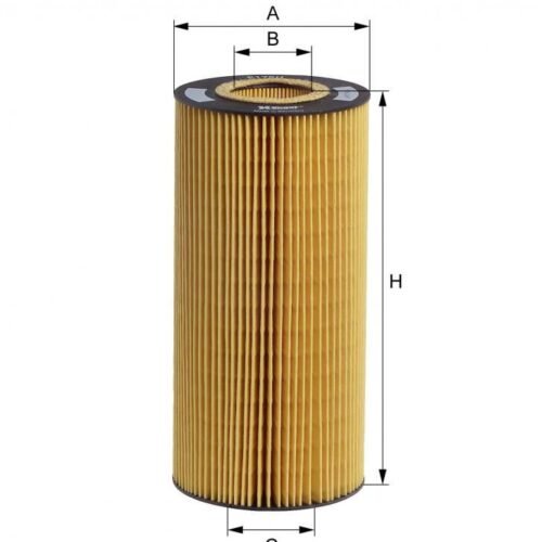 Filtre À Huile Axor HENGST E175H D129 | A0001802909 Oil filter