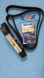 Courroie Man diesel  8PK - 1635 - Image 2