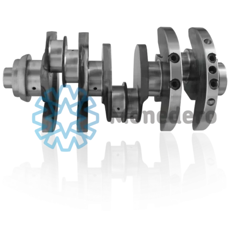 Villebrequin Mercedes Actros A5410302801 / Crankshaft Actros BF 20050350100