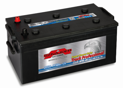 225 AH Truck Professional Batteries 12V | 1150 A (Heavy Duty)