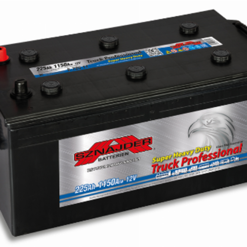 225 AH Truck Professional Batteries 12V | 1150 A (Heavy Duty)